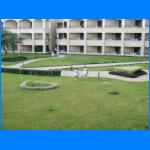 PB150174.JPG